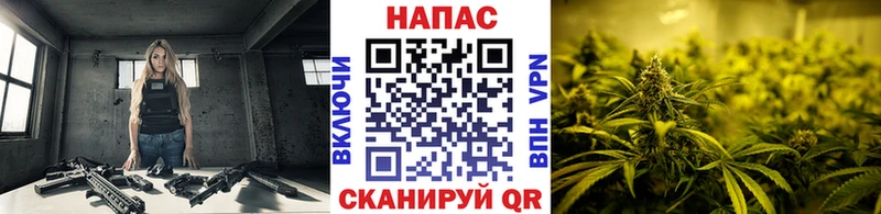 Где можно купить наркотики Пугачёв Бошки Шишки APVP Меф мяу мяу КОКАИН