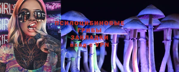 дмт Алзамай