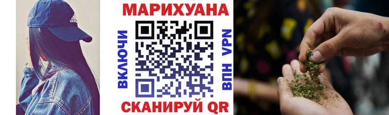 купить наркотик  Пугачёв  Шишки марихуана конопля 